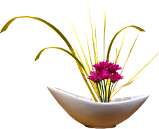 Wxqyjg0daSWTXk6MtAi9d8QltIw