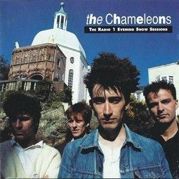 the chameleons